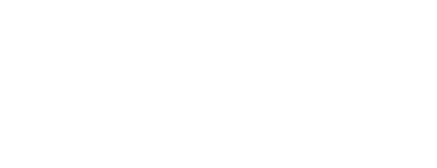 Client logo 29
