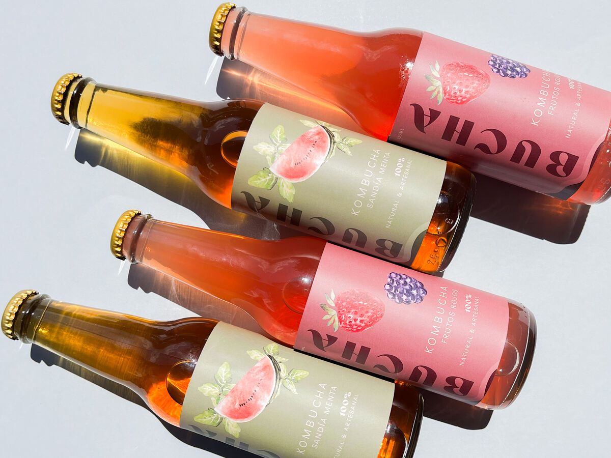 Bucha GT project screenshot